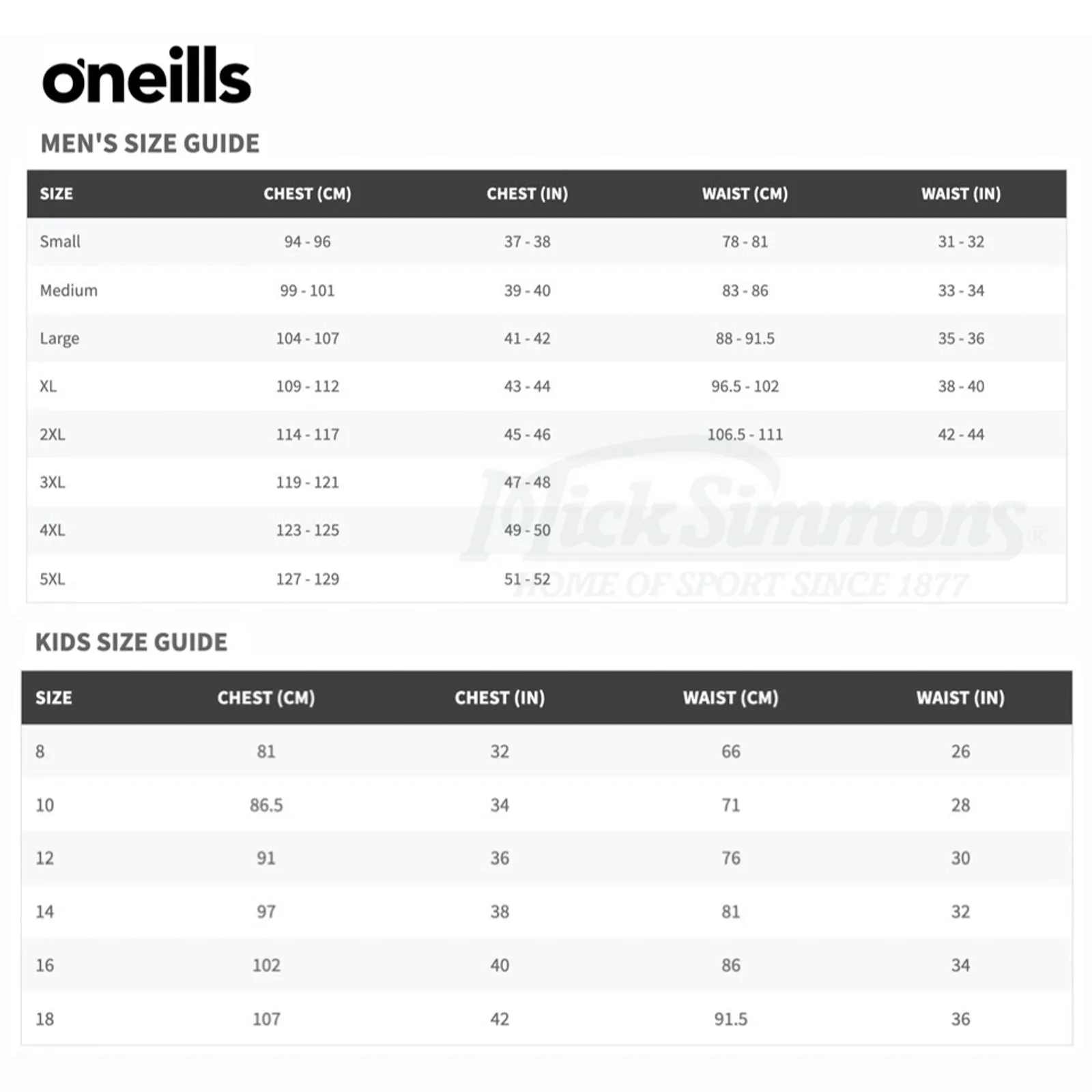 Canterbury Bulldogs 2025 Men's Training Shirt NRL Rugby League by O'Neills